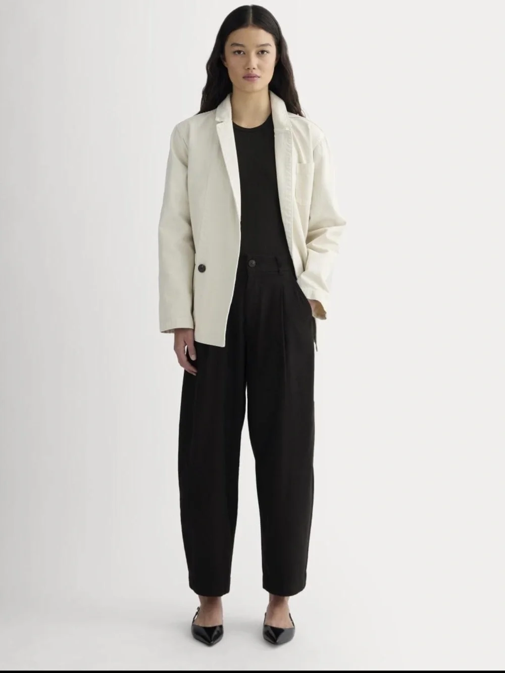 Everlane Women’s Black Linen Pleated Barrel Tapered Pants Size 6